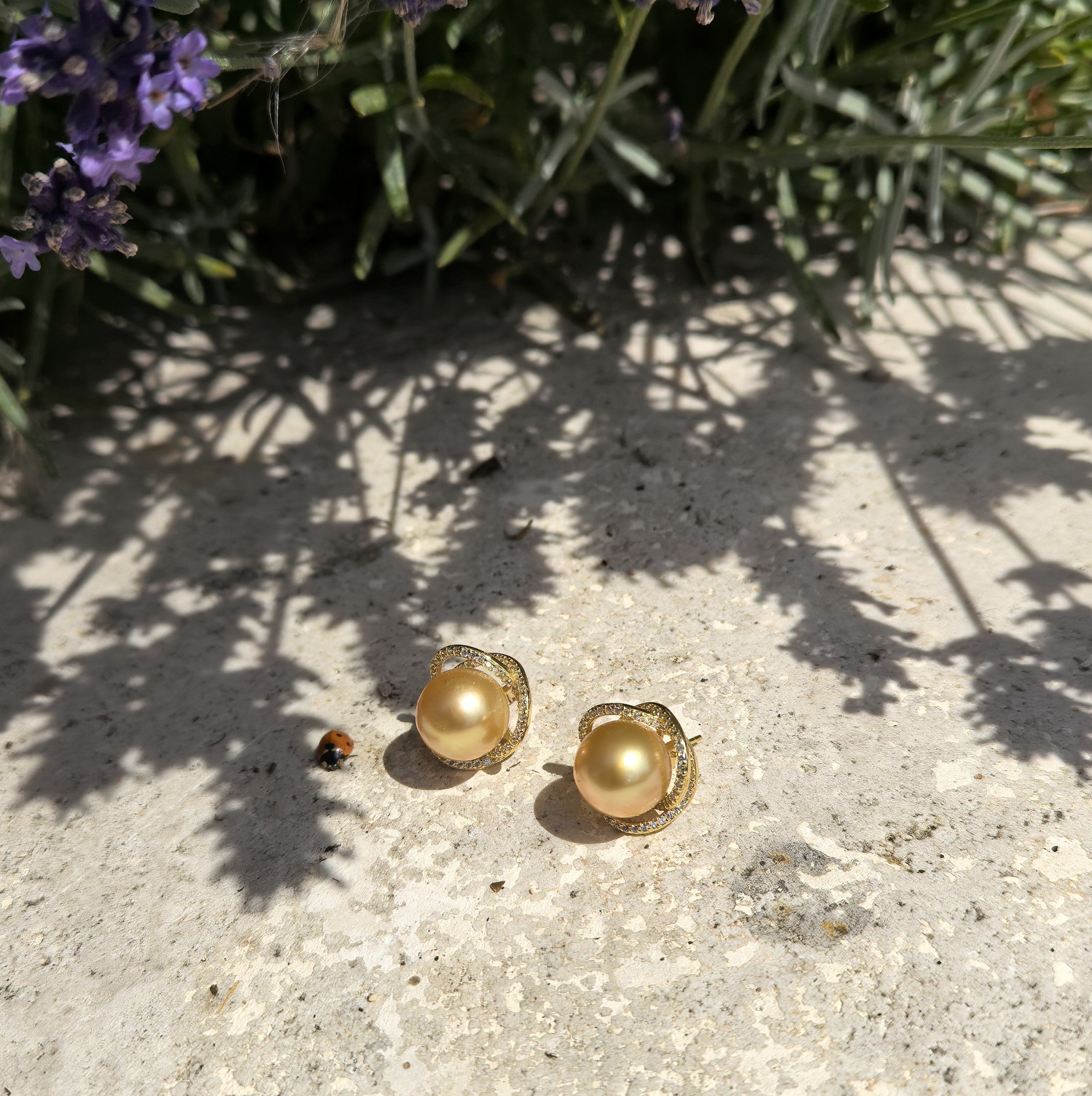 Golden South Sea Pearl 11.0-12.0mm & CZ Rose Earrings